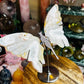 Pink amethyst wings