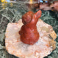 Red jasper dog