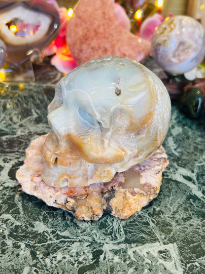 Caribbean calcite skull