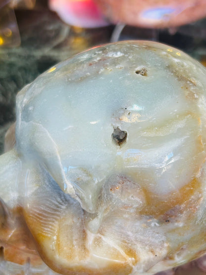 Caribbean calcite skull