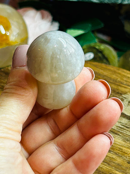 Agate mushroom