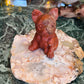 Red jasper dog