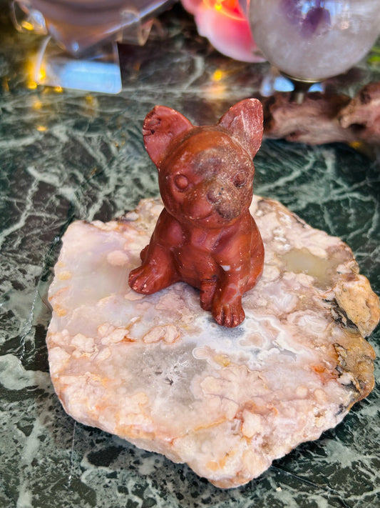 Red jasper dog