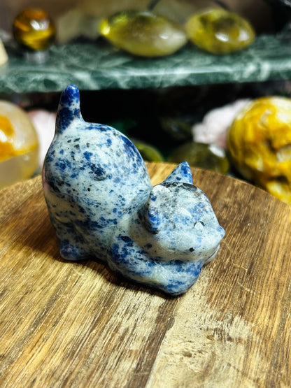 Sodalite cat