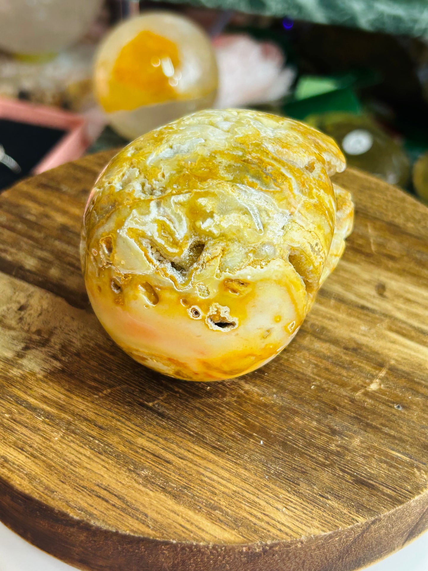 Crazy lace agate skull