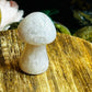 Agate mushroom