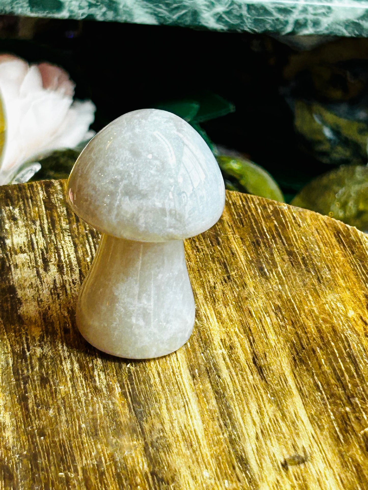 Agate mushroom