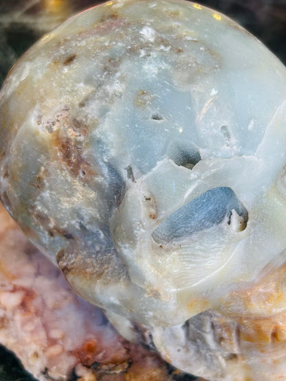 Caribbean calcite skull