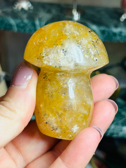 Golden healer mushroom