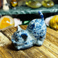 Sodalite cat