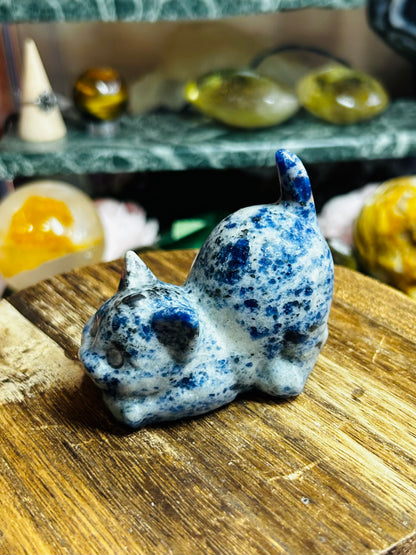 Sodalite cat