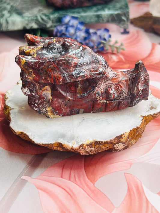 Mexican lace agate dragon head