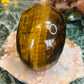 Tigers eye skull