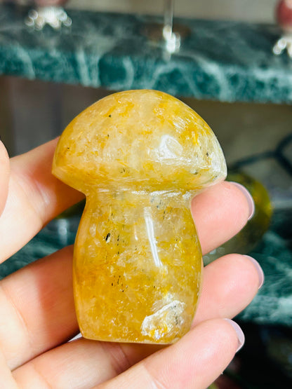 Golden healer mushroom