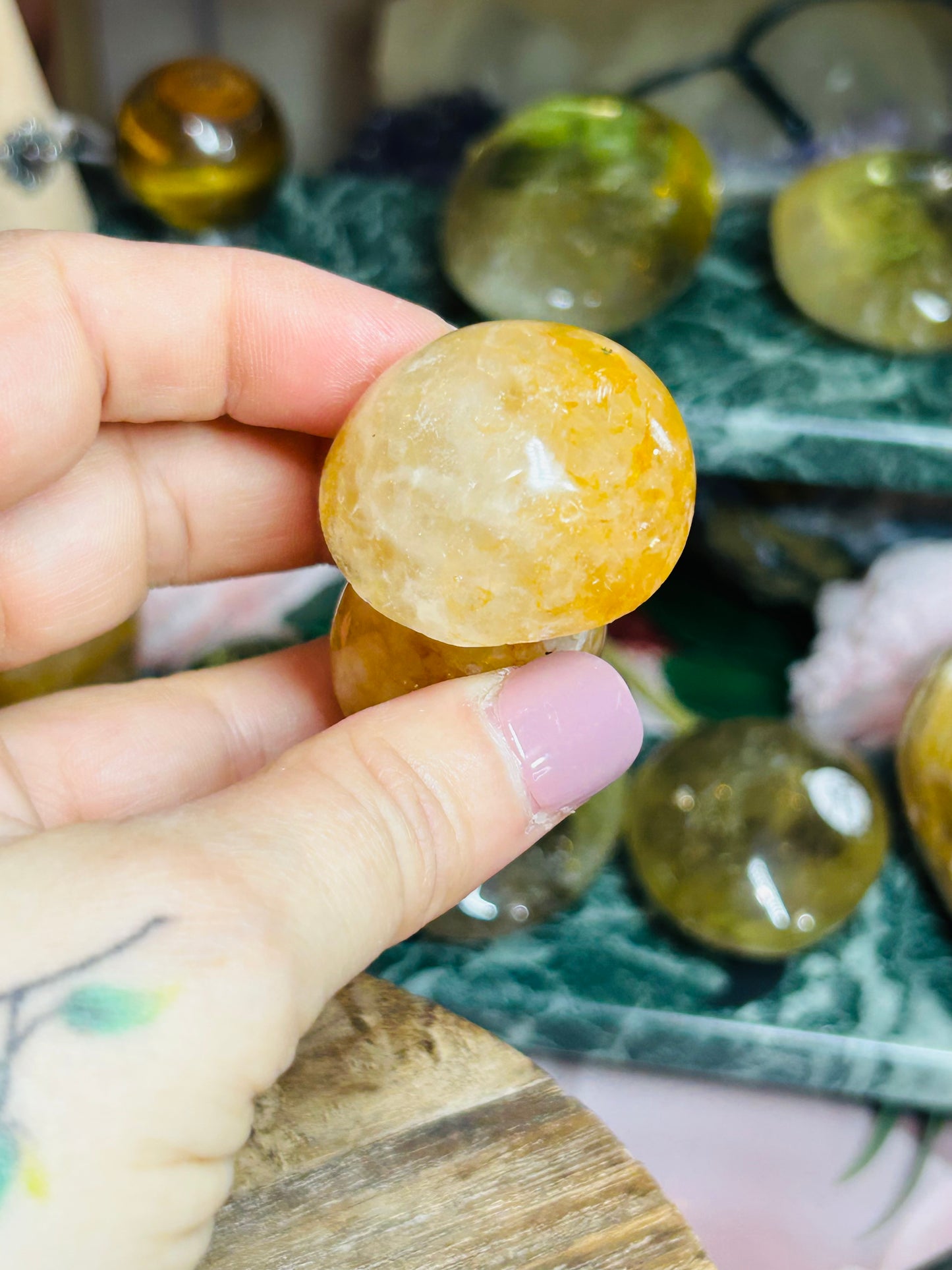 Golden healer mushroom