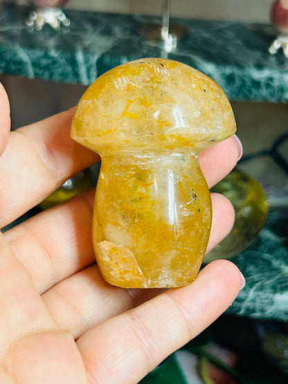 Golden healer mushroom