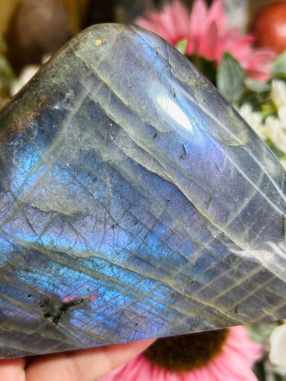 Blue/purple flash labradorite Freeform