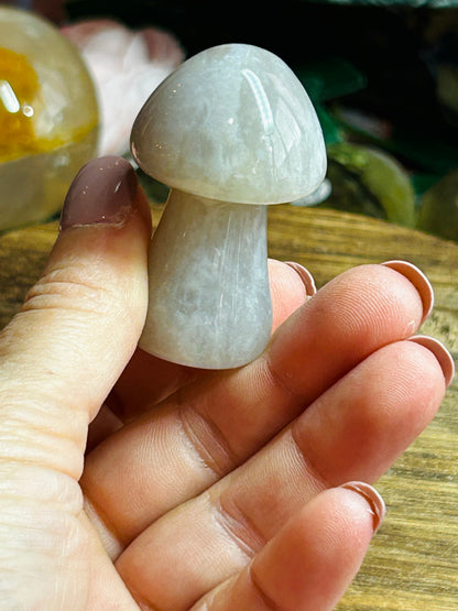Agate mushroom