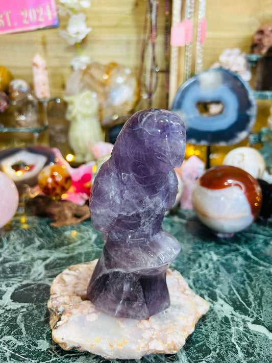 Amethyst parrot