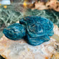 Apatite turtle - small chip