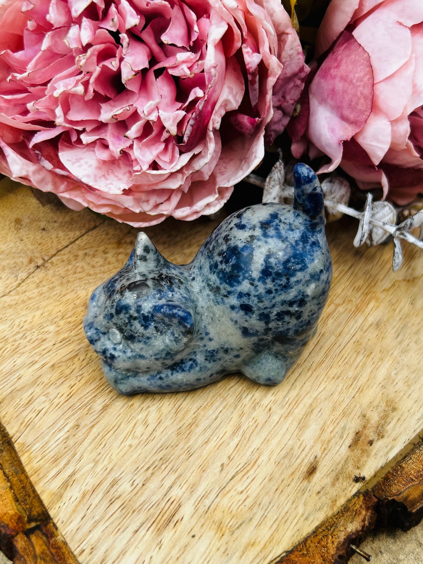 Sodalite cat