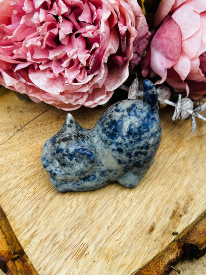 Sodalite cat