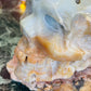 Caribbean calcite skull