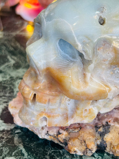 Caribbean calcite skull