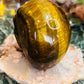 Tigers eye skull
