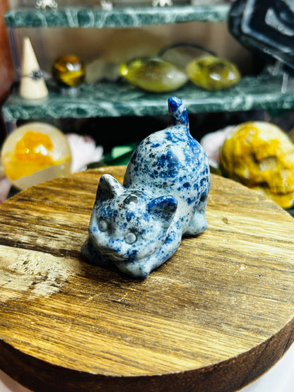 Sodalite cat
