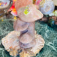 Cherry blossom mushrooms