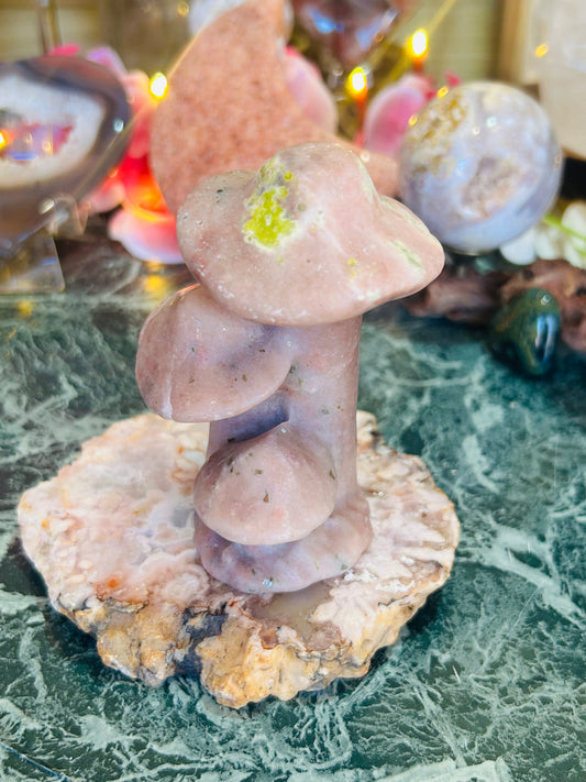 Cherry blossom mushrooms