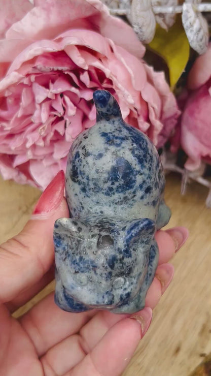 Sodalite cat
