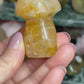 Golden healer mushroom