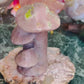 Cherry blossom mushrooms