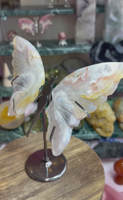 Pink amethyst wings