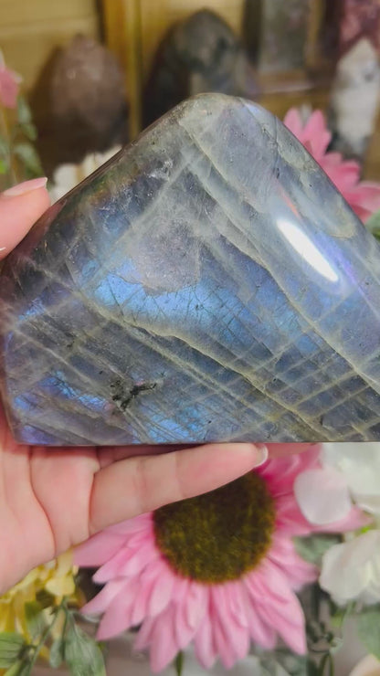 Blue/purple flash labradorite Freeform