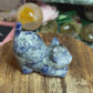 Sodalite cat