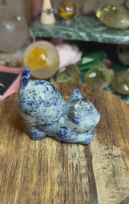 Sodalite cat