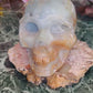 Caribbean calcite skull