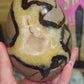 Septarian egg