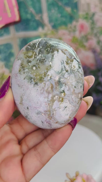 Ocean jasper palm