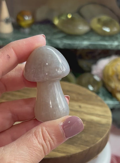 Agate mushroom